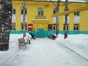 Фотография Детский сад № 238 "Звездочка" 5